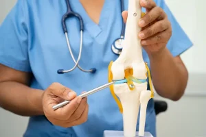 Orthopedic specialist using an anatomical knee model to explain a torn meniscus. Demonstrating expert consultation for meniscus repair surgery.